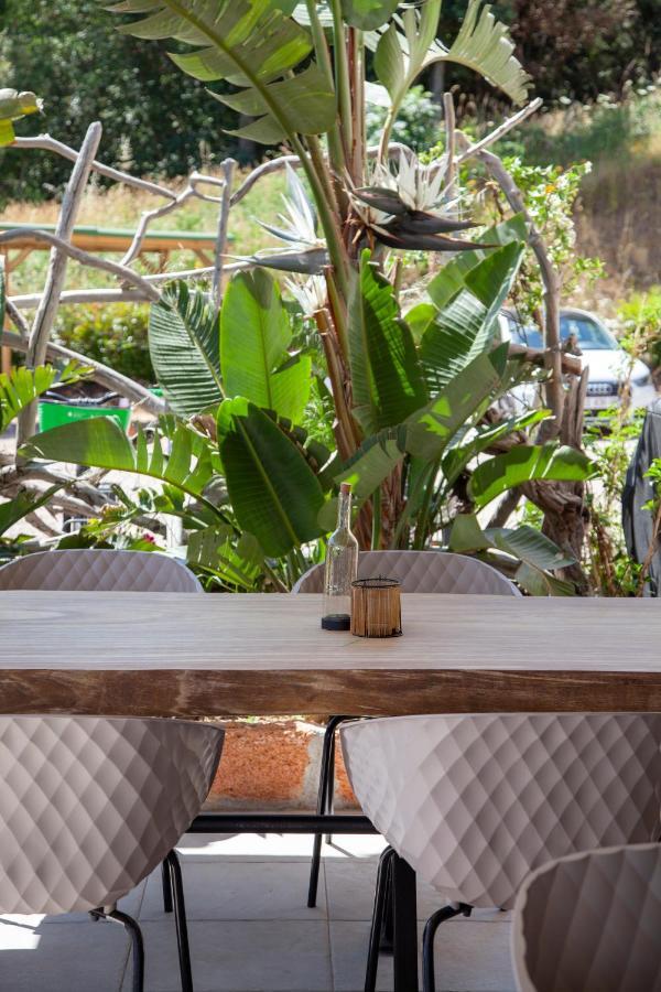 Hotel Scandola เพียนา ภายนอก รูปภาพ
